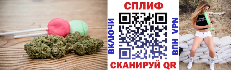 Cannafood конопля Электрогорск