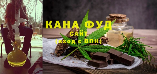 МДПВ Протвино