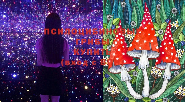 соль курить ск Пролетарск
