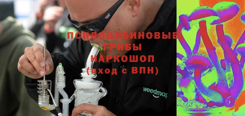 цены   Электрогорск  Галлюциногенные грибы MAGIC MUSHROOMS 