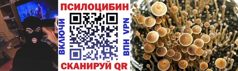 наркота  Электрогорск  Галлюциногенные грибы прущие грибы 