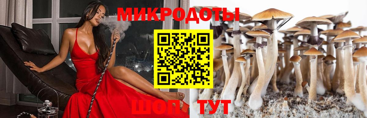 Электрогорск  что такое   Вход с VPN  Псилоцибиновые грибы мицелий  Псилоцибиновые грибы MAGIC MUSHROOMS 